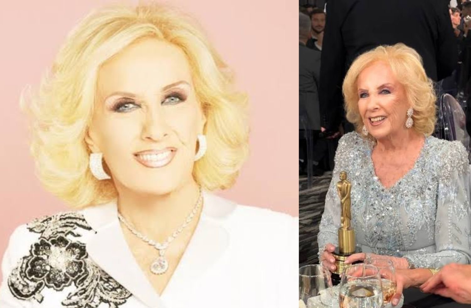 mirtha jung net worth
